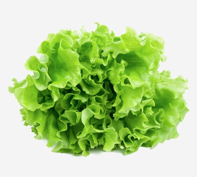 Lettuce